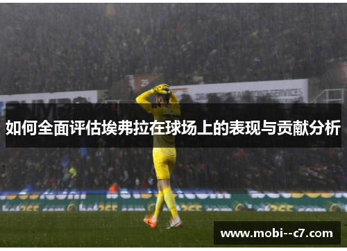 如何全面评估埃弗拉在球场上的表现与贡献分析