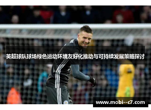 英超球队球场绿色运动环境友好化推动与可持续发展策略探讨