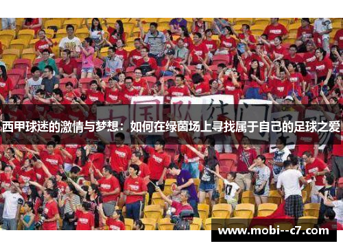 西甲球迷的激情与梦想：如何在绿茵场上寻找属于自己的足球之爱
