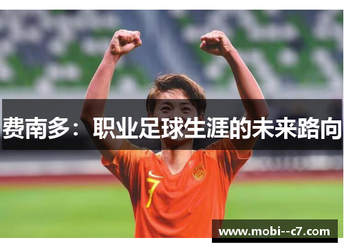 费南多：职业足球生涯的未来路向