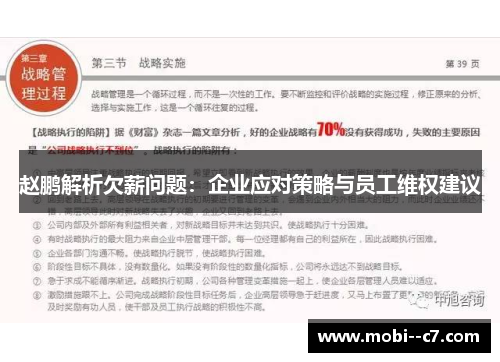 赵鹏解析欠薪问题：企业应对策略与员工维权建议