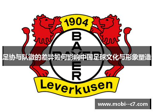 足协与队徽的差异如何影响中国足球文化与形象塑造