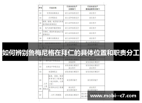如何辨别鲁梅尼格在拜仁的具体位置和职责分工