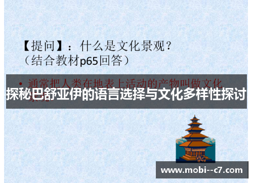 探秘巴舒亚伊的语言选择与文化多样性探讨