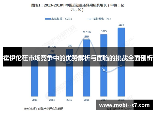 霍伊伦在市场竞争中的优势解析与面临的挑战全面剖析 霍伊伦在市场竞争中的优势解析与面临的挑战全面剖析