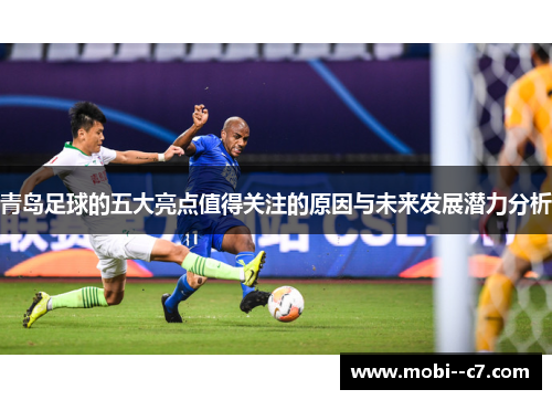 青岛足球的五大亮点值得关注的原因与未来发展潜力分析 青岛足球的五大亮点值得关注的原因与未来发展潜力分析