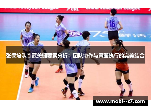 张德培队夺冠关键要素分析：团队协作与策略执行的完美结合