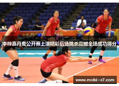 李梓嘉丹麦公开赛上演精彩后场跳杀震撼全场成功得分