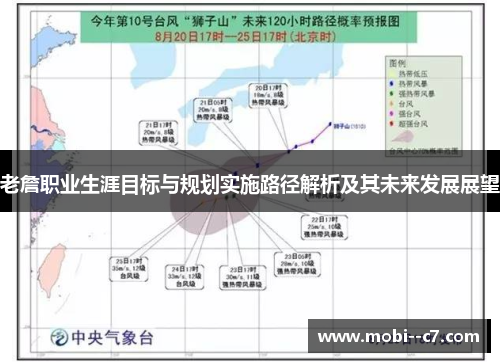 老詹职业生涯目标与规划实施路径解析及其未来发展展望