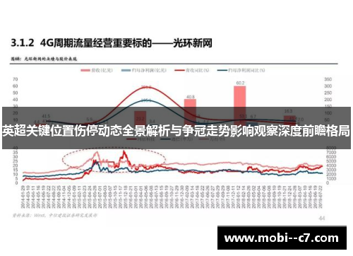 英超关键位置伤停动态全景解析与争冠走势影响观察深度前瞻格局