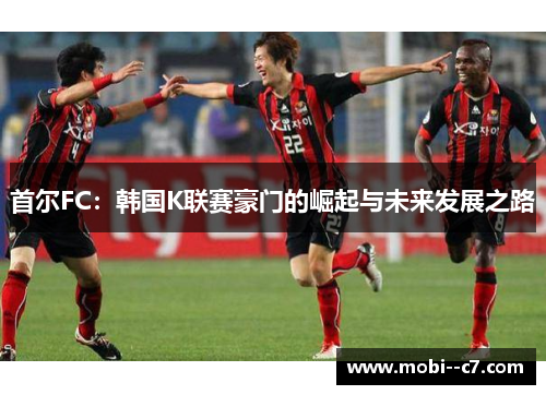 首尔FC：韩国K联赛豪门的崛起与未来发展之路