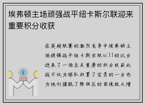 埃弗顿主场顽强战平纽卡斯尔联迎来重要积分收获