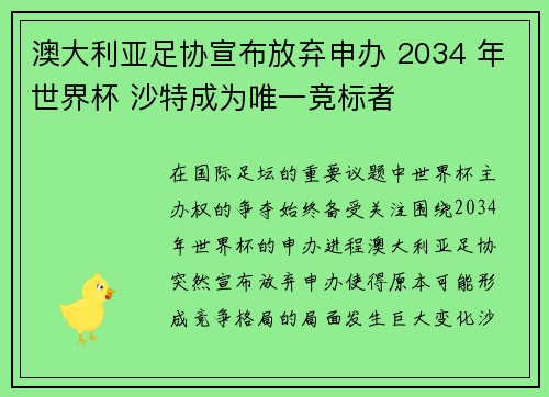 澳大利亚足协宣布放弃申办 2034 年世界杯 沙特成为唯一竞标者
