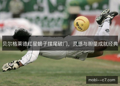 贝尔格莱德红星蝎子摆尾破门,灵感与胆量成就经典 贝尔格莱德红星蝎子摆尾破门,灵感与胆量成就经典